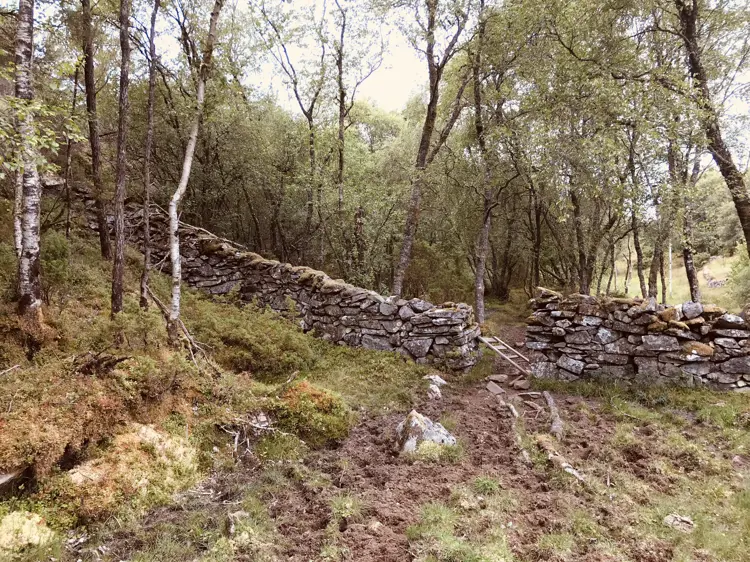 Steingjerde-paa-Fitjar.-Foto:-Bygg-og-Bevar