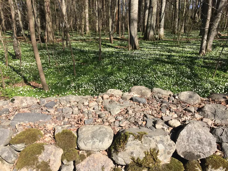 Steingjerde-med-to-murvanger-og-steinfylling-i-mellom.-Foto:-Bygg-og-Bevar