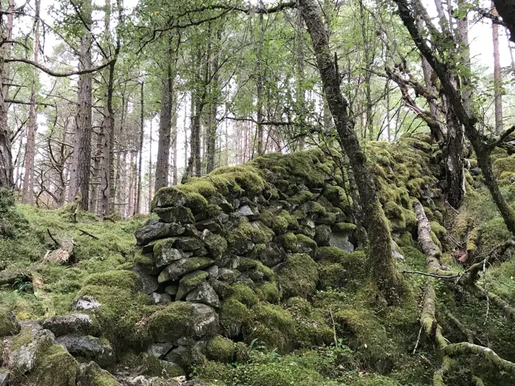 Mosegrodd-steingjerde-paa-Fitjar.-Foto:-Bygg-og-Bevar (1)