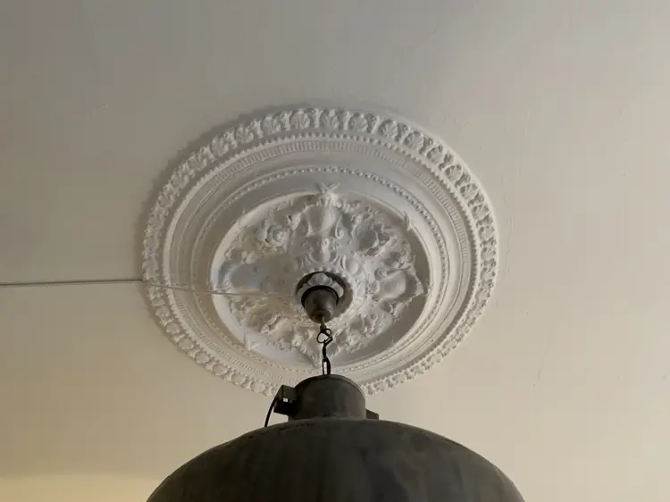 Sofienberg   Gipsrosett.jpeg