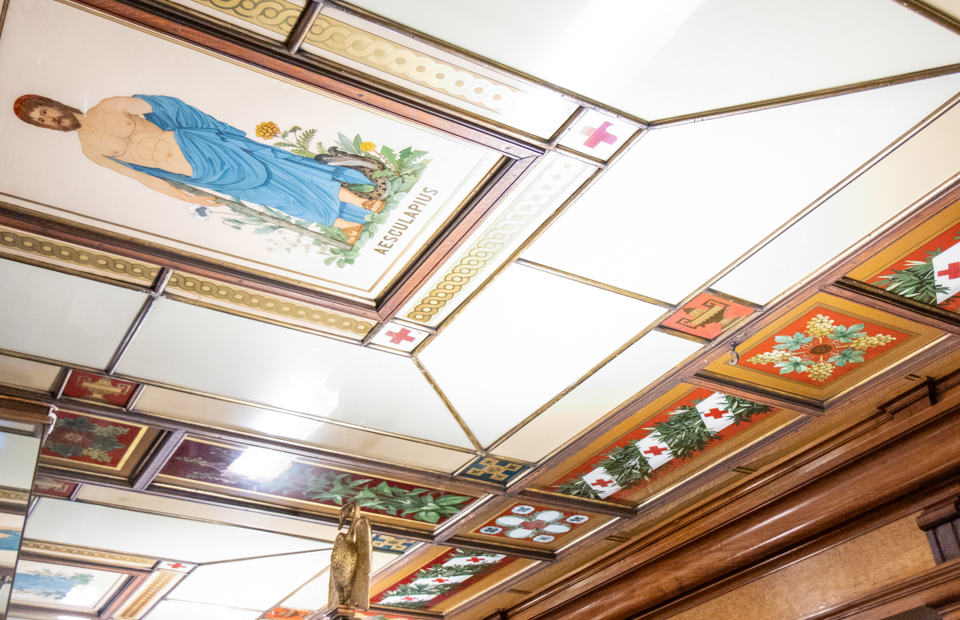 Svanen-Foto Mariell Midtbø Bøyum-2932.jpg