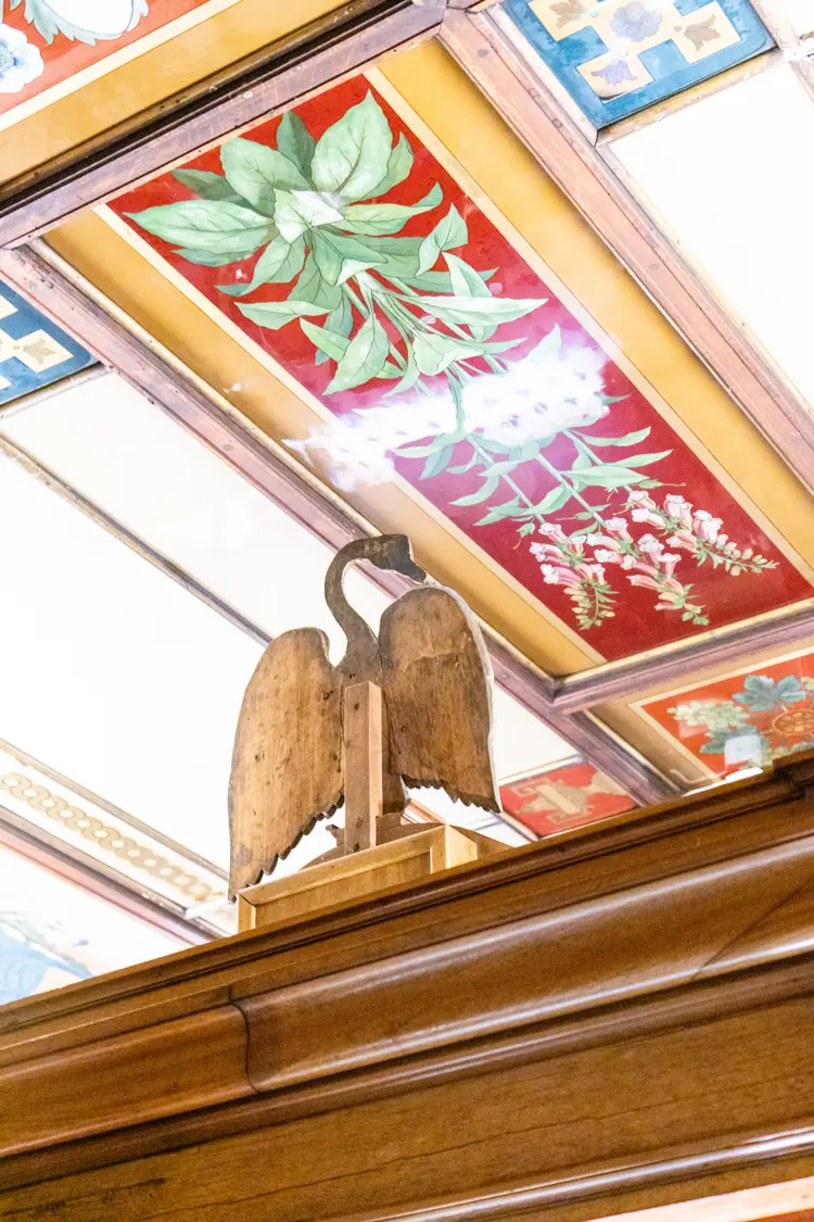 Svanen-Foto Mariell Midtbø Bøyum-2950.jpg