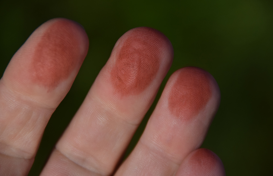 Prestegårslåna Støv