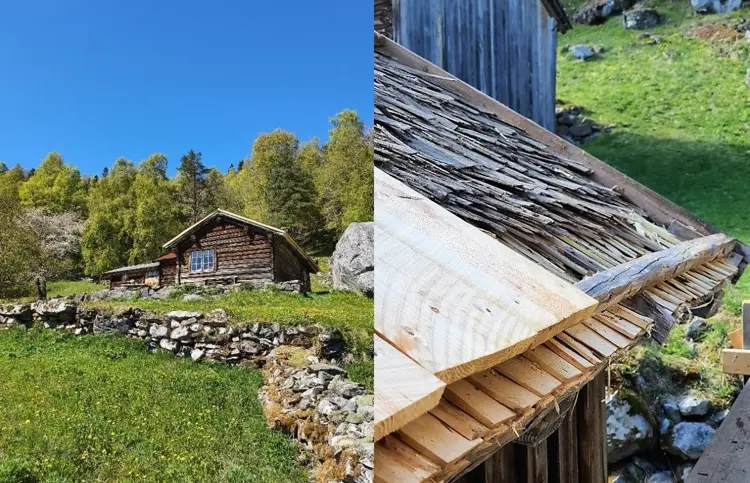 Thomas Bygningsmannen