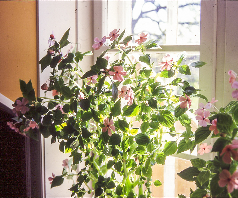 Flittig Lise Mari Marstein Red