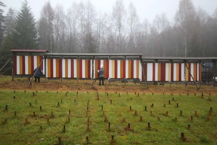 Linoljemaling Foto Jon Braenne