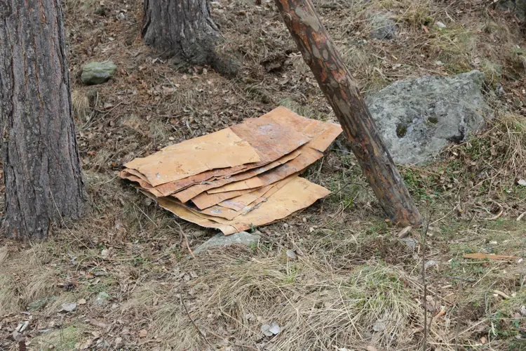 Never-som-skal-brukes-som-taktekking.-Foto:-Bygg-og-Bevar