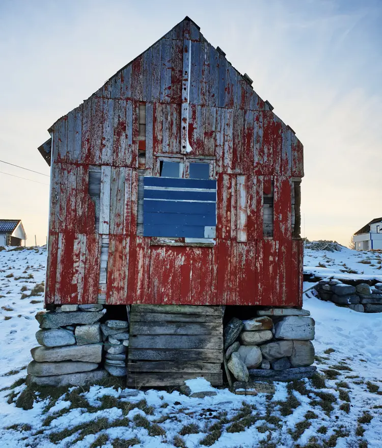 Sildekassebord Pa Gammel Sjaa (Naust) Kopi