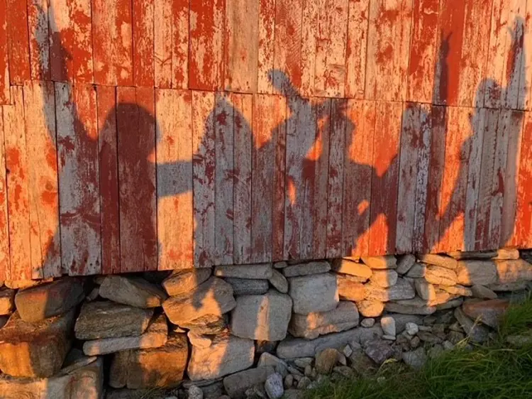 Venninnegjeng I Midnattsol