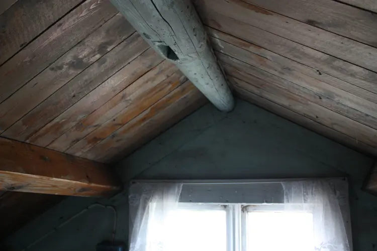 Mast Som Mønsås (1)