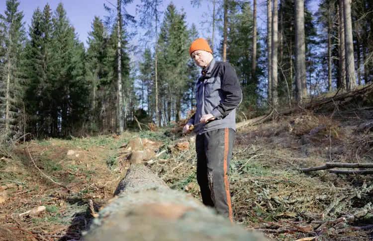 Vurdering-av-granstokk.-Foto:-Bygg-og-Bevar