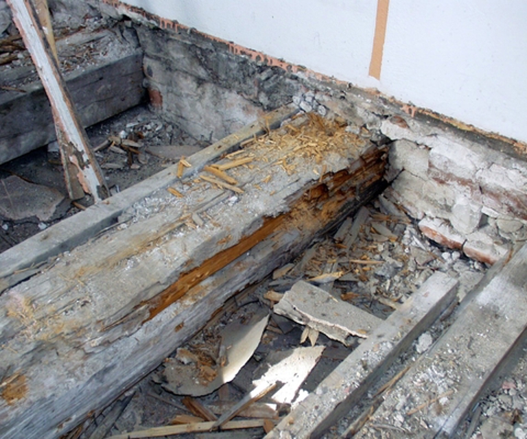 Råte i bjelkene, forårsaket av tømmersopp. Foto: Mycoteam