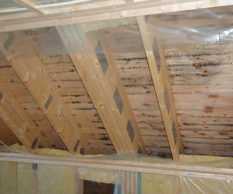 Sopp i takkonstruksjon. Foto: Frank Berg