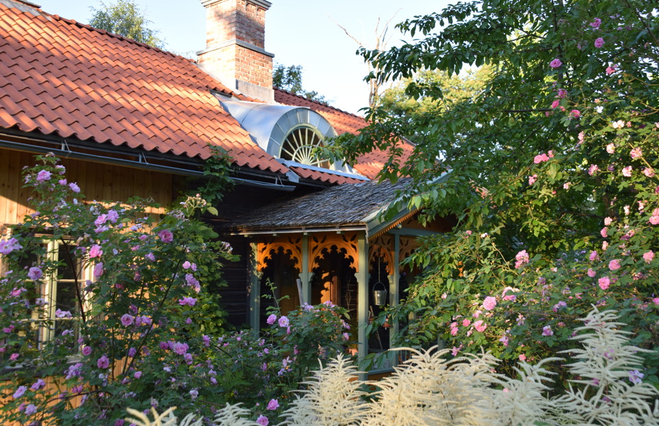 Blomsterprakt på småbruket Foto Sjur Harby