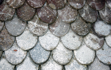 Lappeskifer, klippet i rund- eller dråpeform. Foto: Anne Madsen, TEF