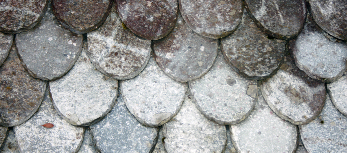 Lappeskifer, klippet i rund- eller dråpeform. Foto: Anne Madsen, TEF