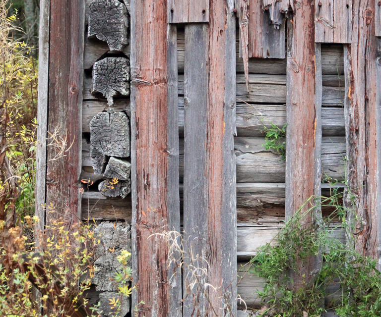 Begroing, kontakt med jord og dårlige takrenner medfører ofte råteskader. Foto: Bygg og Bevar 