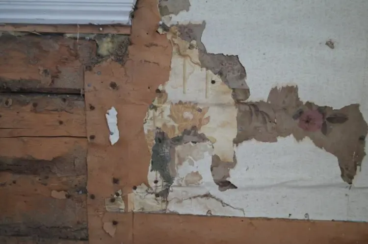 Gammel Tapet På Tømmervegg Victoria Brand Munthe -Kaas