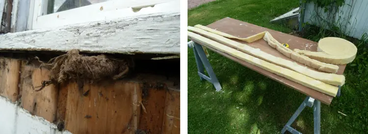 Dyttestrie Samlebilde