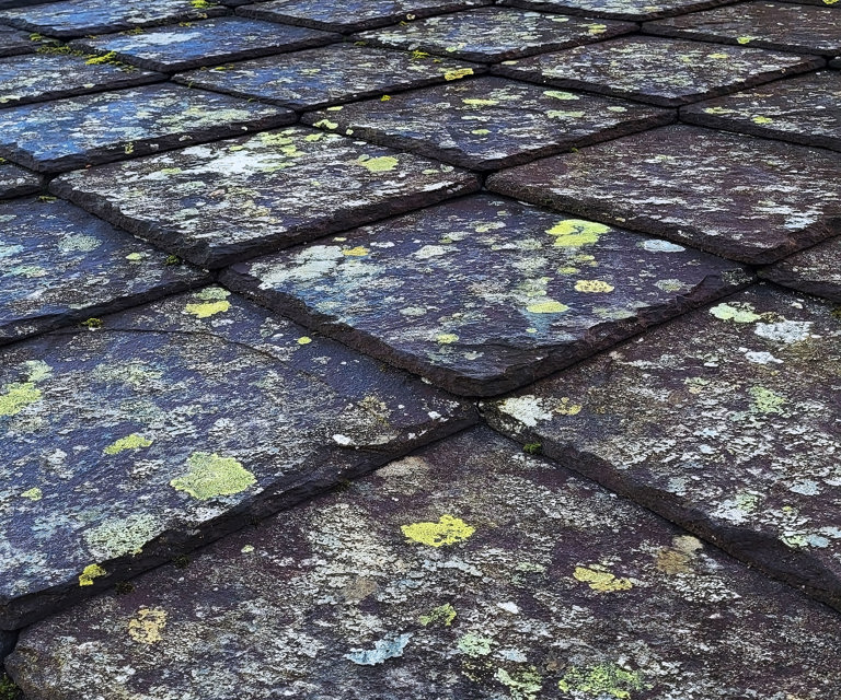 Se etter skader som løse eller manglende skiferheller, sprekker og lekkasjer.