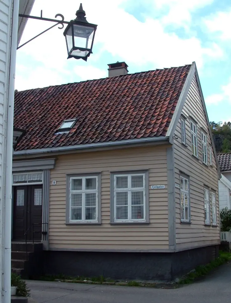 Fjellgt 9.jpg