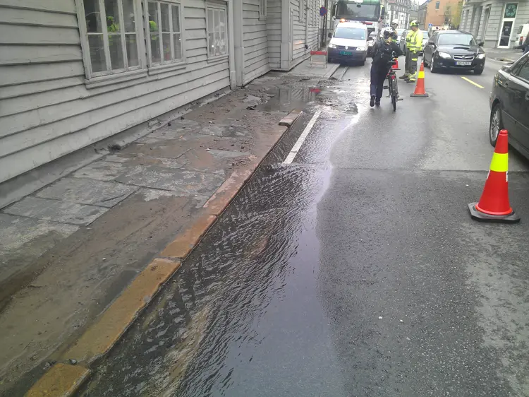 Flom. Foto: Bjarte Gullachsen, Bymuseet i Bergen