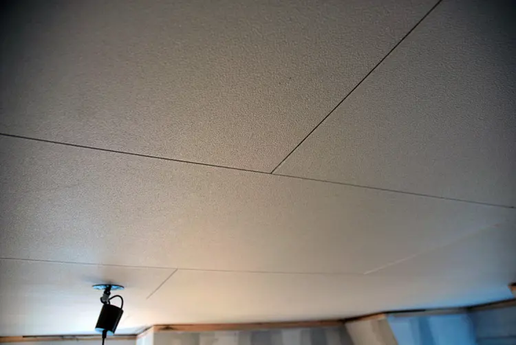 Tak ess. Foto: Einar Nilsson