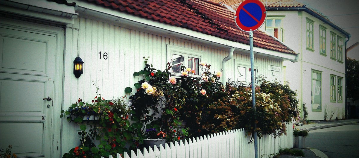 Små hus og små hager - stor idyll. Foto: Hilde Fossum Sundre
