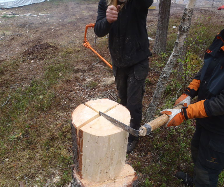 Kabbene kløyves med kniv i 4 deler. Foto: Henning Søndmør