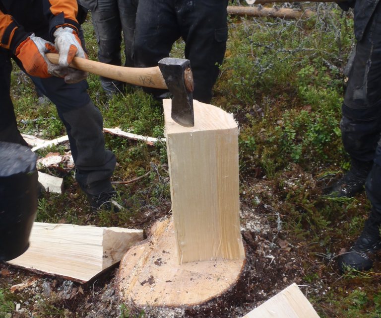Her hogges den vanskelige ungdomsveden bort. Foto: Henning Søndm