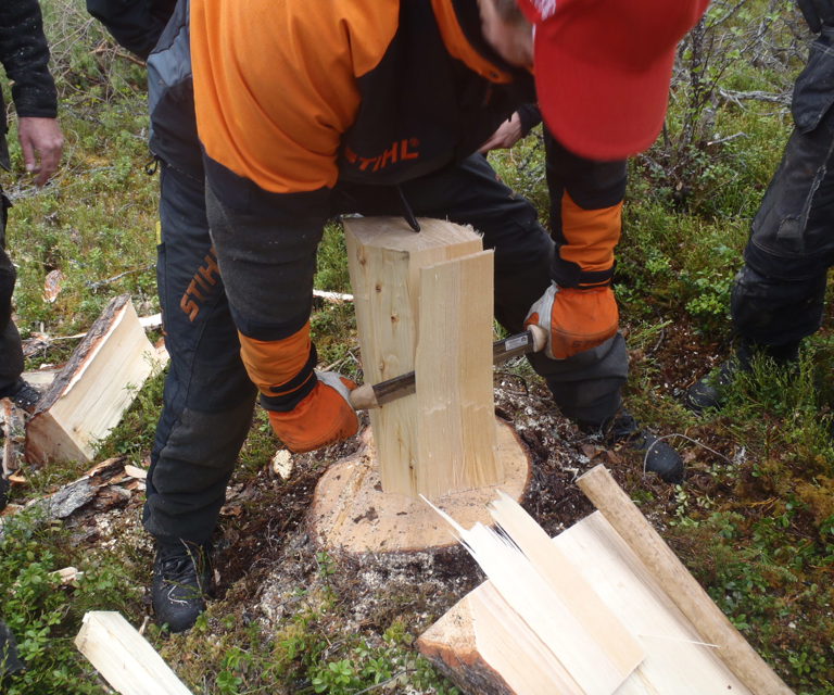Bildet viser stikking. Foto: Henning Søndmør