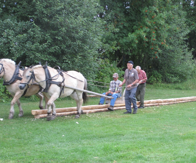 21 Høvling Med Hest