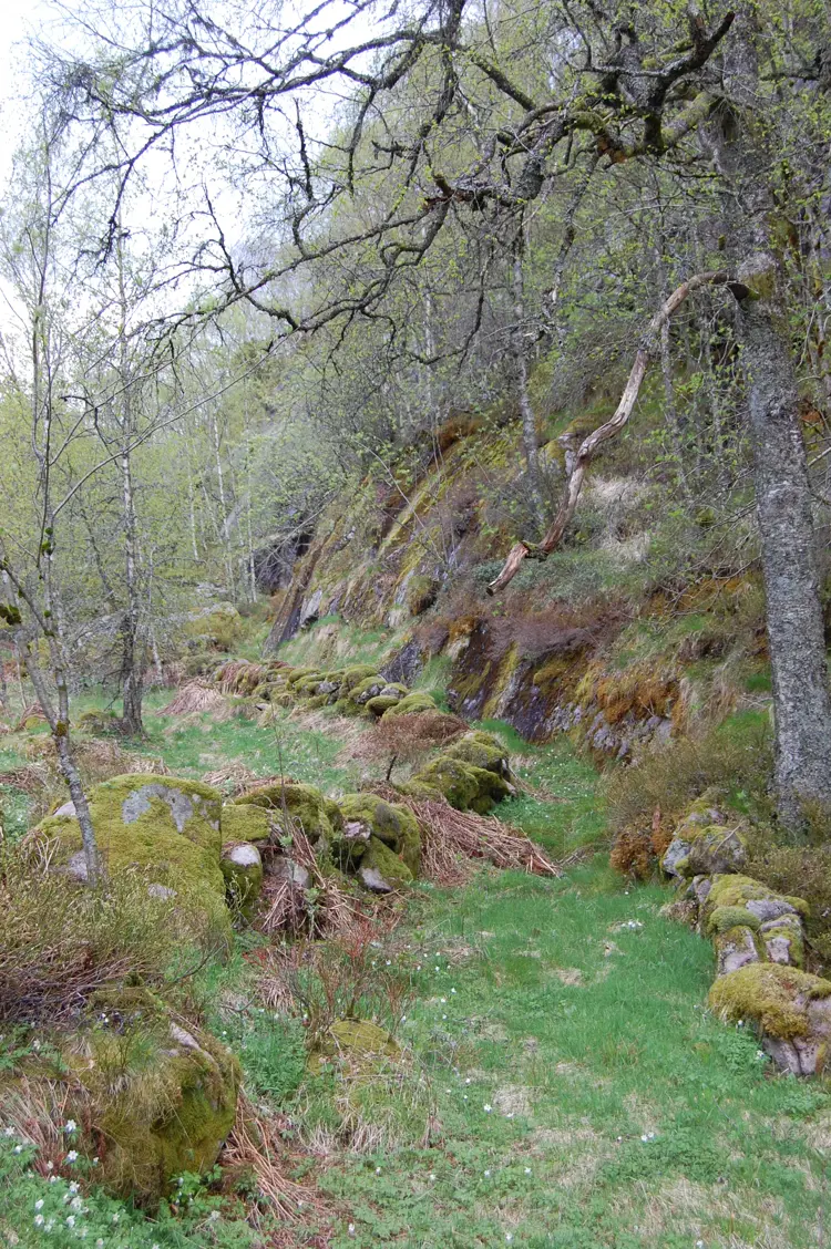 Ivaretakelsen av gamle stier og vegfar gjør at kulturlandskapet lettere kan nyttes i forbindelse med rekreasjon, samtidig som sporene etter tidligere tider fortsatt får prege landskapet. Foto: Norsk Kulturminnefond