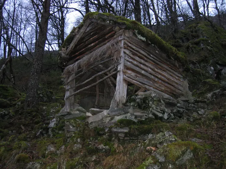 Foer istandsetting jedlaloeo