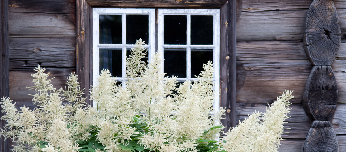 Lafta hus er bra for miljøet. Foto: Liv Sandvik Jakobsen