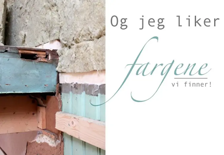 Jeg liker fargene. Foto: Liv J Sandvik Jakobsen