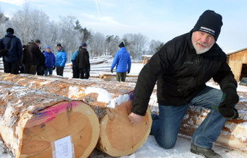 Digert og holdbart. Skogbruker Hans Hagen fra Sjåk er imponert over dimensjonene på spesialvirket til Materialbanken på Vingelen. Her med stor malmfuru. Foto: Bård Bårdløkken