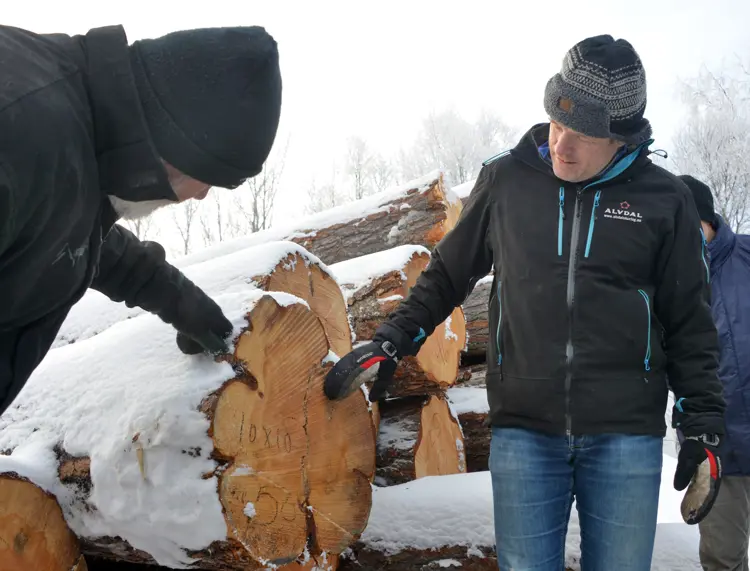 Spesiell skog. Jakob Trøan (t.h.) viser fram ekstra store dimensjoner av malmfuru i Materialbanken i Vingelen til Hans Hagen fra Sjåk. Foto: Bård Bårdløkken
