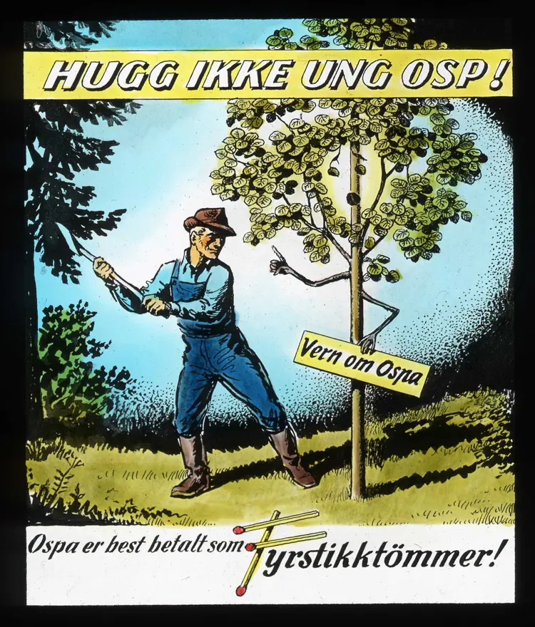 Norsk Teknisk Museum Kinoreklame Fra 1950-tallet