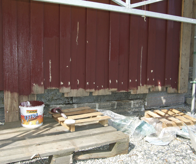 Etter første malingsstrøk tettes alle gamle spikerhuss og sprekker med linoljekitt før det neste strøket linoljemaling påføres. Panelbordene ble senket litt i forhold til det opprinnelige. Dårlig trevirke i bunnen kappes bort. Dette var dårlig da det hadde vært i kontakt med bakken gjennom flere år. Foto: Norske Hjem