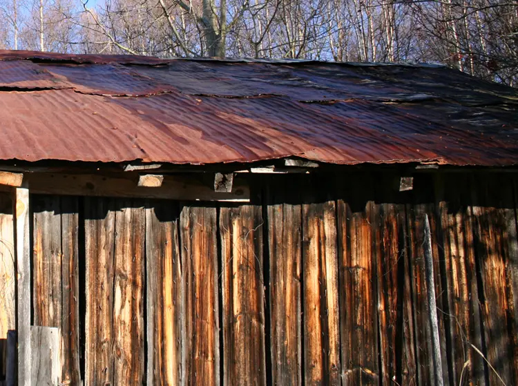 Uthus m tønnetak Koppangsøyene, Rendalen i Hedmark. Foto: Ola H Fjeldheim