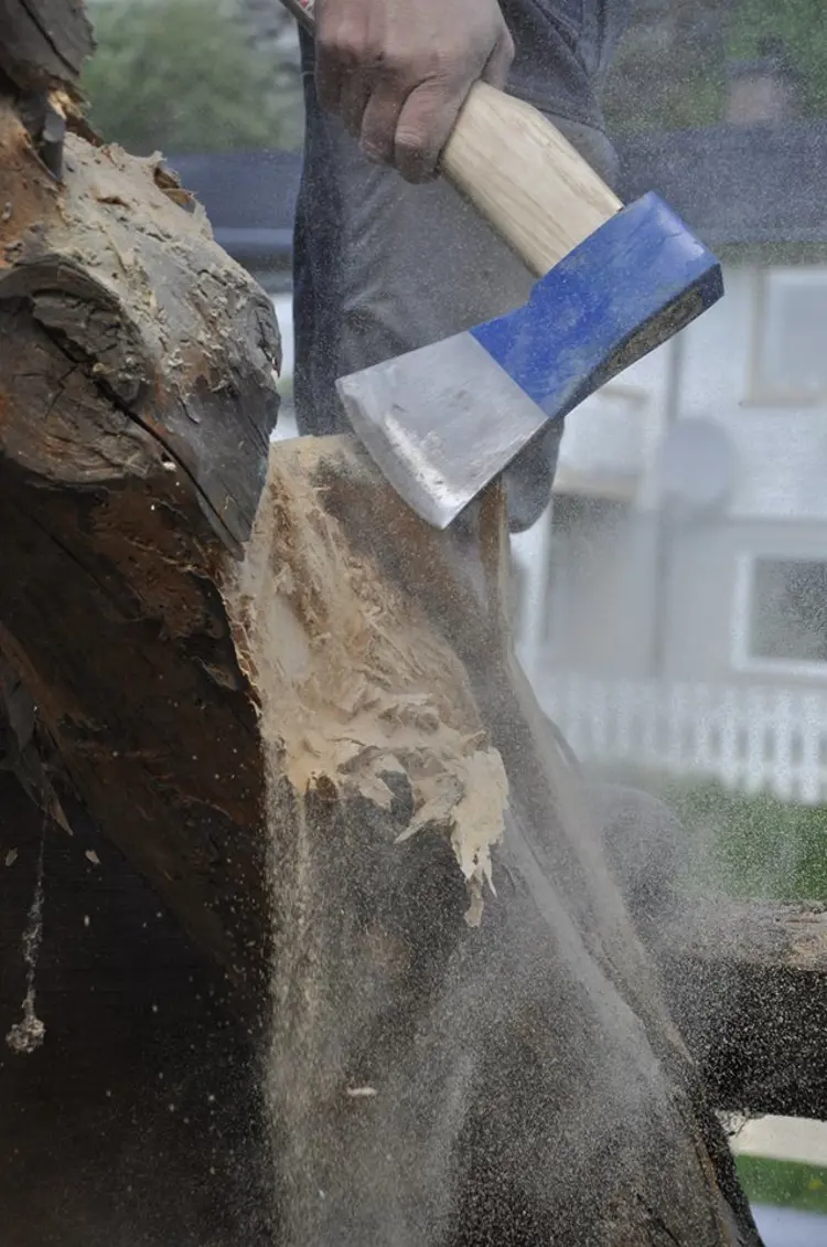 Husbukkskade Foto Solvorn Laft Og Bygg