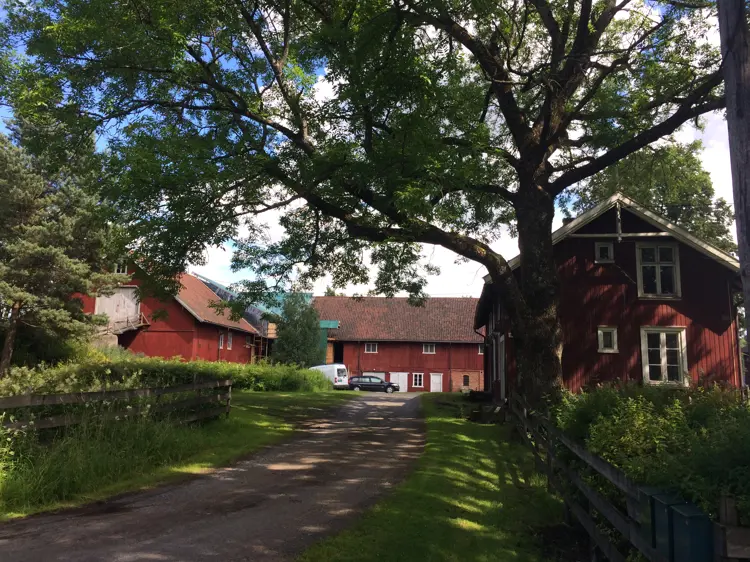 Låven Hadde Ikke Bare Sunket Ned , Den Var Også Skjev , Ved Hjelp Av Jekker , Stropper Og Vind Fikk Håndverkerne Rettet Den Opp.