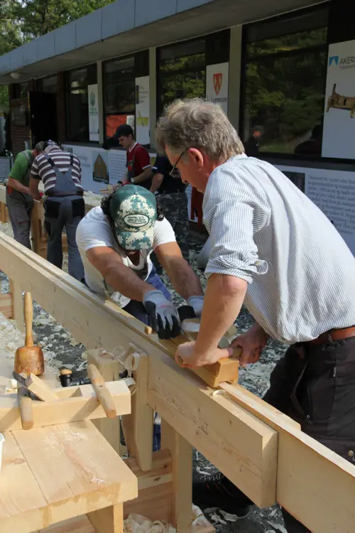 Kollegialt Samarbeid