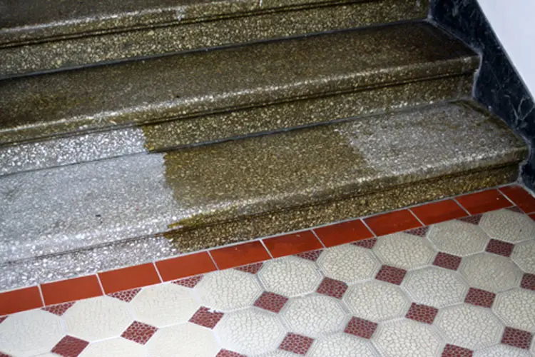 Atelier Wien har begynt rensing av trappene i terrazzo. Foto: CEWG