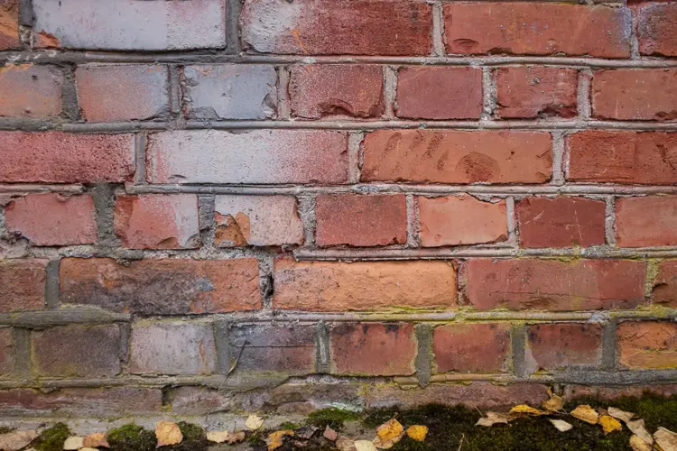 Pølsespekking forekommer på mange eldre teglsteinsbygninger og skulle hindre fuktighet å trenge inn i fugene. I tillegg ga det fasadene karakter. I dag er det langt mellom murere som behersker teknikken og til våren blir det kurs i pølsespekking på Fosselven. Foto: Sjur Harby