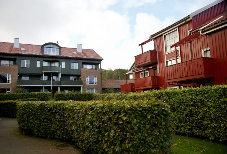 Husene er bygd i tre, med felles material- og fargebruk som skaper helhet. Foto: Lise Bjelland