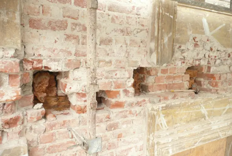 Hussoppen og andre mer ufarlige sopp og insekter er vekket. Foto: A. L. Høyer AS