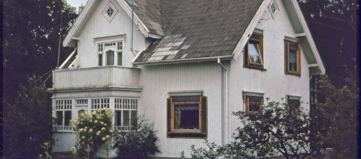 Kanskje ikke et heldig vindusbytte? Foto: Else "Sprossa" Rønnevig