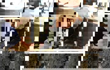 Gråvannsgjennvinner. Foto: Bjørge Sandberg-Kristoffersen 